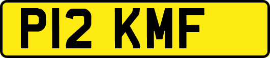P12KMF