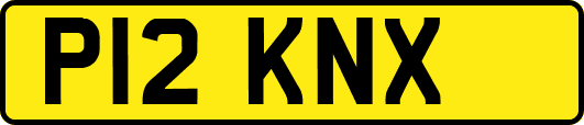 P12KNX