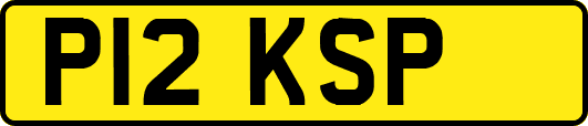 P12KSP