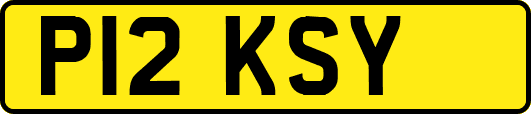 P12KSY