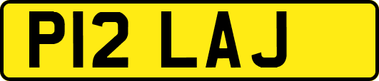 P12LAJ