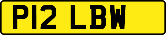 P12LBW