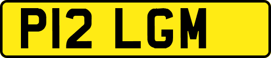 P12LGM