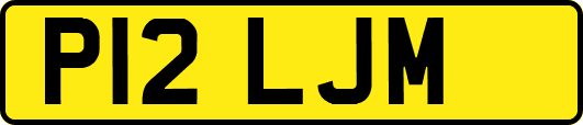 P12LJM