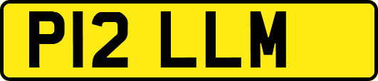 P12LLM