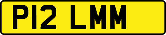 P12LMM