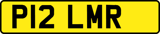 P12LMR