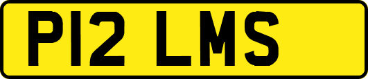 P12LMS