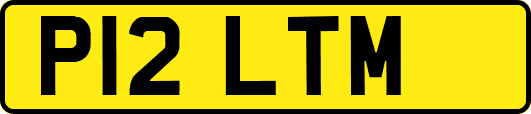 P12LTM