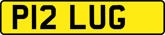 P12LUG