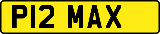 P12MAX