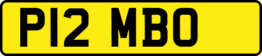 P12MBO