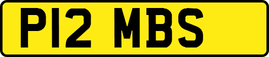 P12MBS