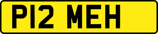 P12MEH