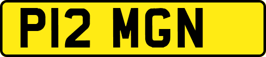 P12MGN
