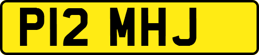 P12MHJ