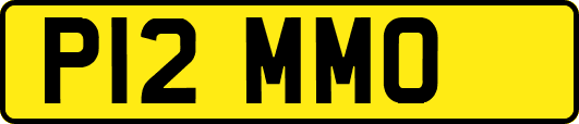 P12MMO
