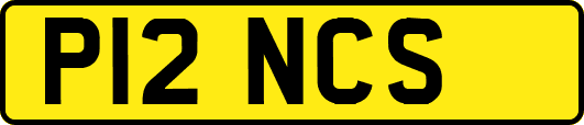 P12NCS