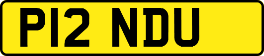 P12NDU