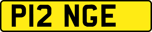 P12NGE