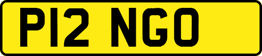P12NGO