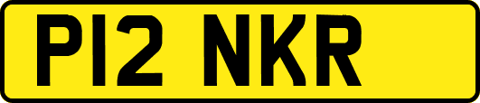 P12NKR