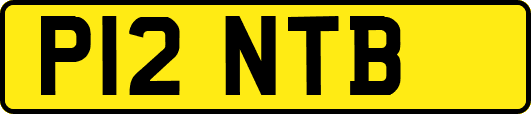 P12NTB