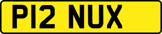 P12NUX
