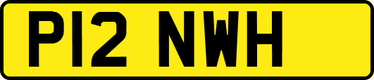 P12NWH
