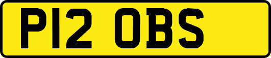 P12OBS