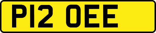 P12OEE