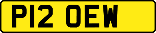 P12OEW