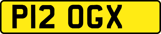 P12OGX