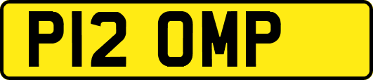 P12OMP