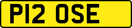 P12OSE