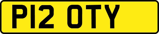 P12OTY