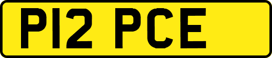 P12PCE