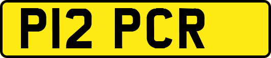 P12PCR