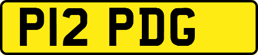 P12PDG