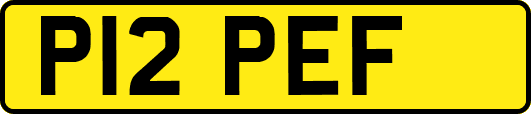 P12PEF