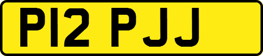 P12PJJ
