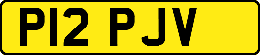 P12PJV