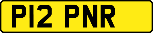 P12PNR