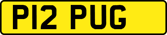 P12PUG
