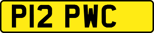 P12PWC