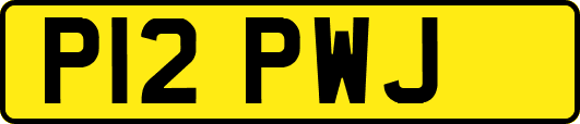 P12PWJ