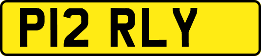P12RLY