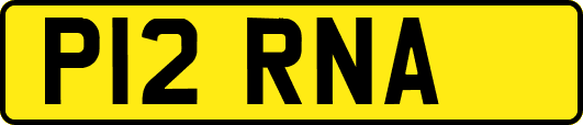 P12RNA