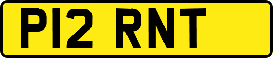 P12RNT