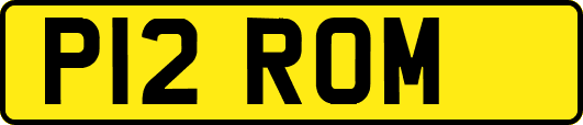 P12ROM